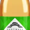 HARTWALL GINGER ALE KLP 250 ML