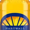 HARTWALL JAFFA APPELSIINI KLP 250 ML