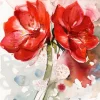 HAVI LAUTASLIINA AMARYLLIS 20KPL/33 CM