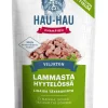 HHC ANNOSATERIA LAMMASTA HYYTELÖSSÄ 85 G