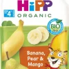 HIPP HIPPIS 4KK BANAANI-PÄÄRYNÄ- MANGO LUOMU 100 G