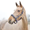 HORZE HAMPTONS -RIIMU C T.SININEN