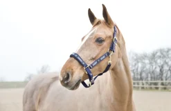 HORZE HAMPTONS -RIIMU C T.SININEN