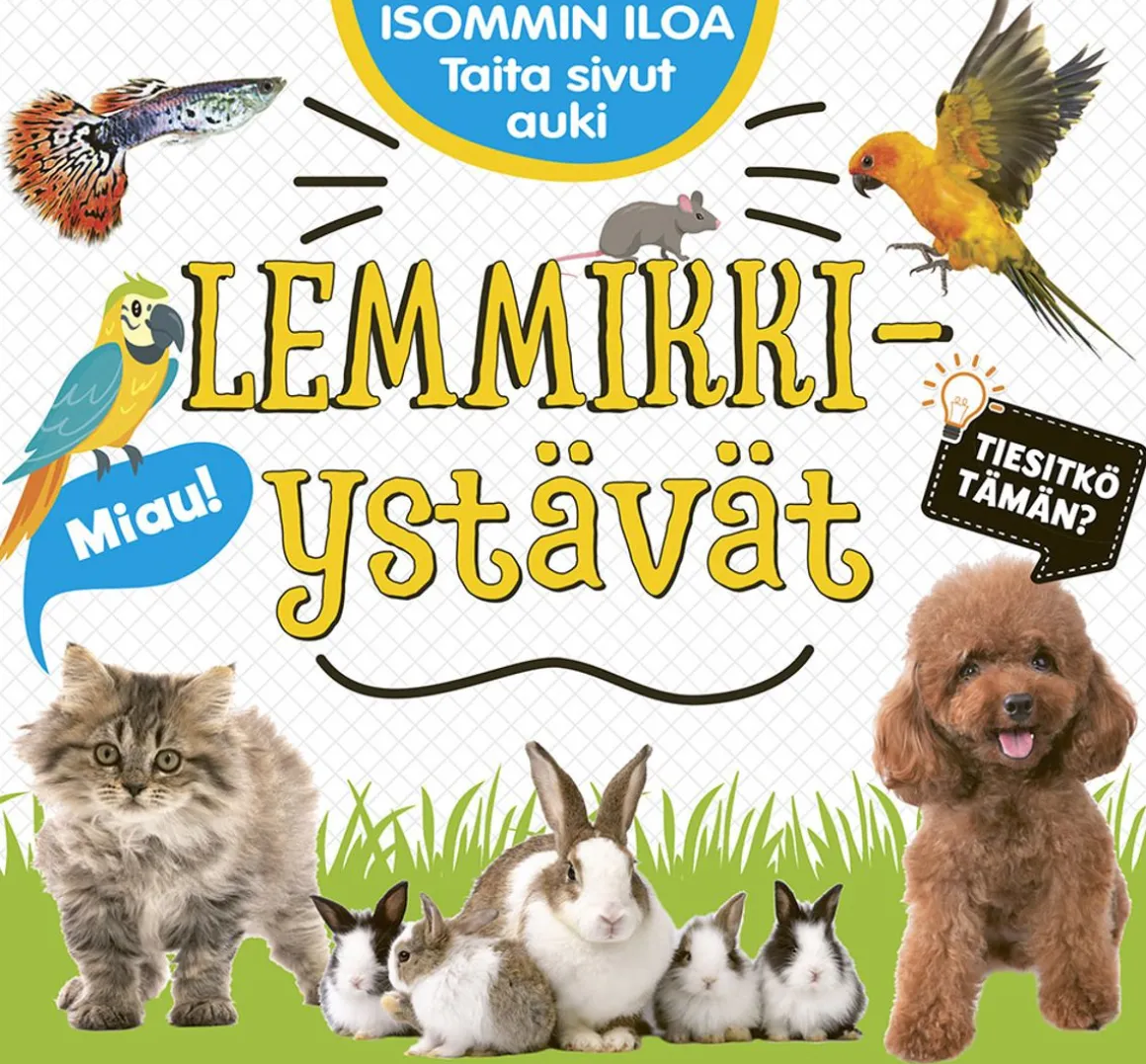 ISOMMIN ILOA - LEMMIKKIYSTÄVÄT