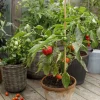 KEKKILÄ TOMAATTI- JA CHILIMULTA  4 L