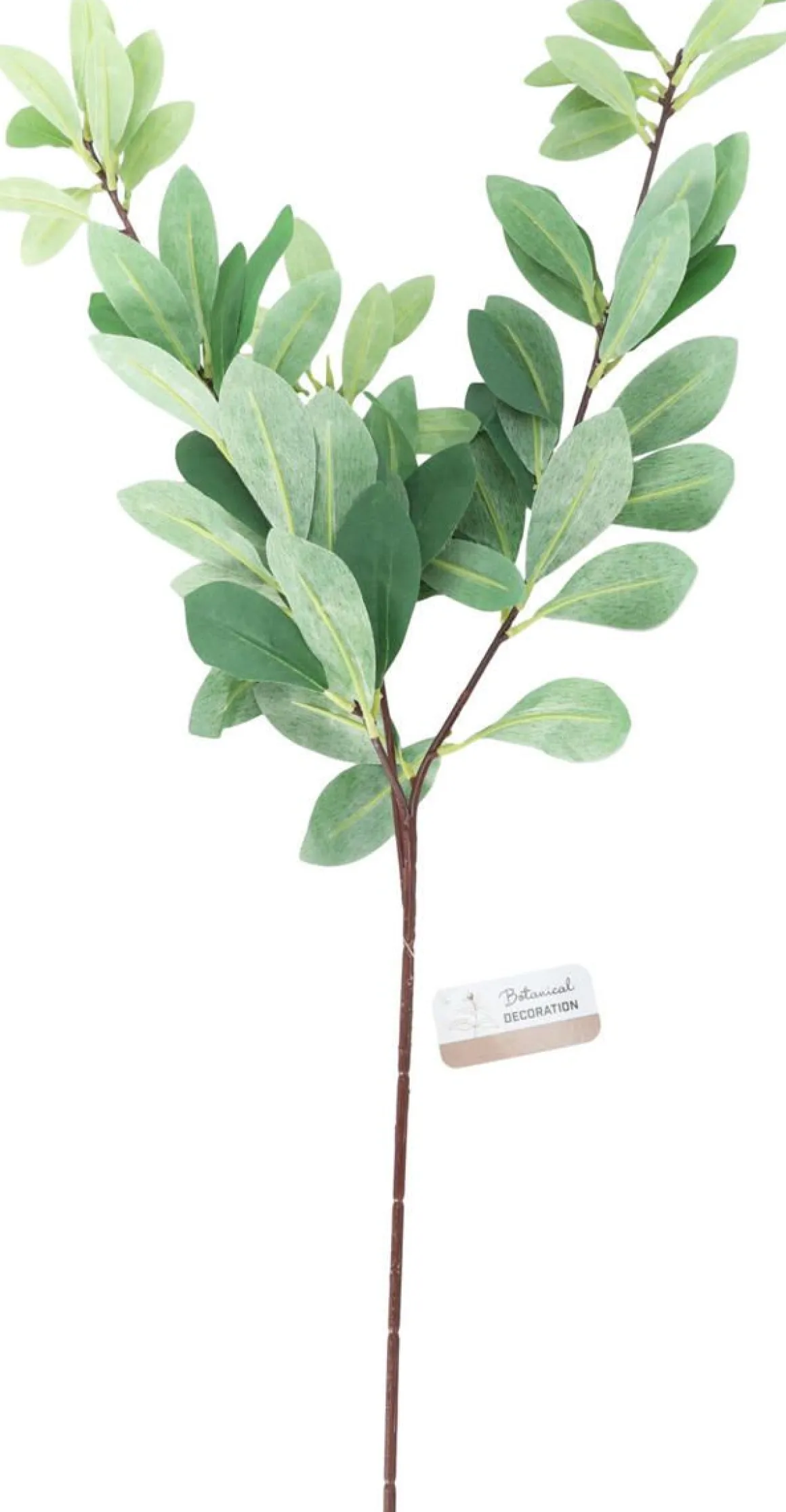 KORISTE OKSAN LEHTI 90CM