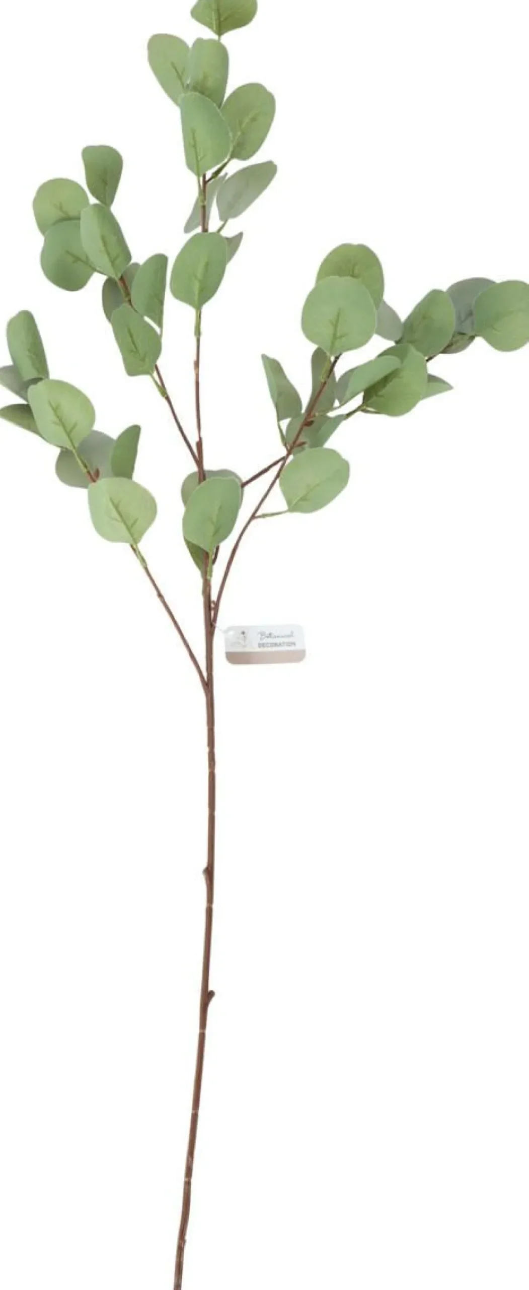 KORISTE OKSAN LEHTI 90CM