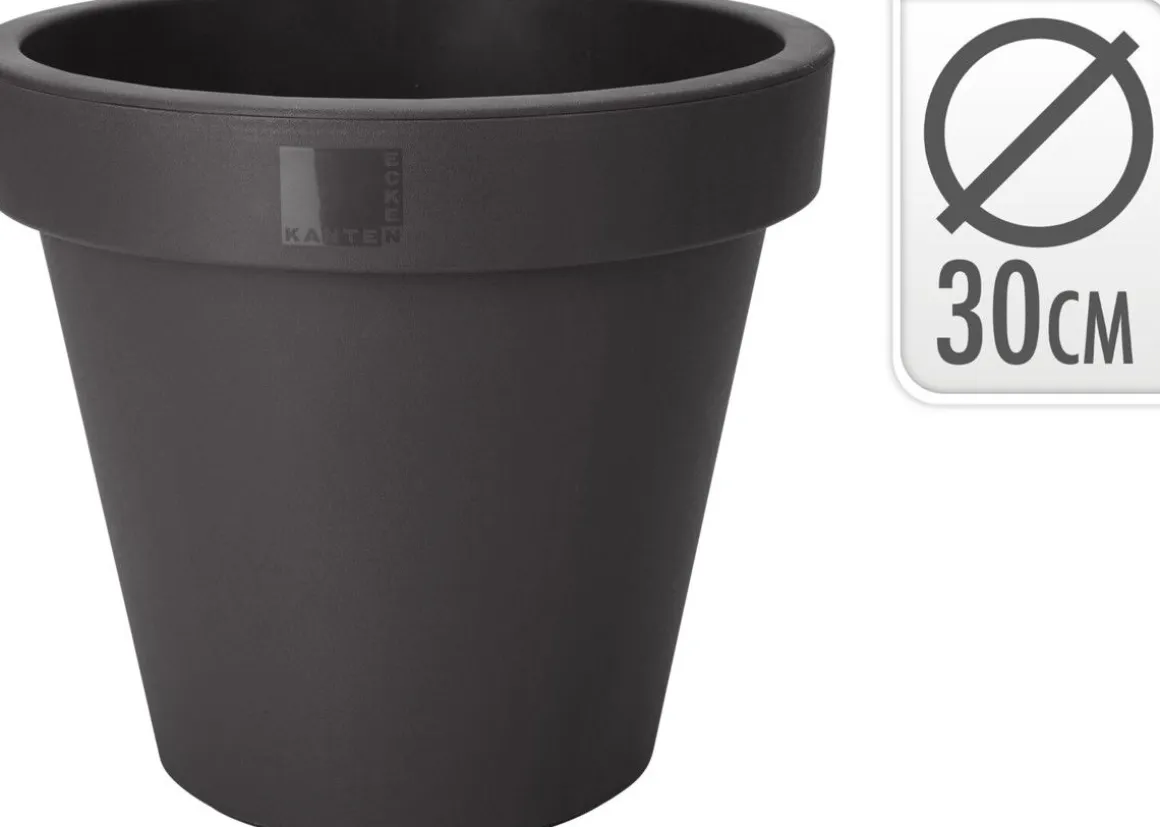 KUKKARUUKKU ANTRASIITTI 30CM