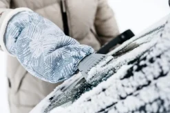 KUNGS ARCTIC-IS KINNASRAAPPA LAJITELMA