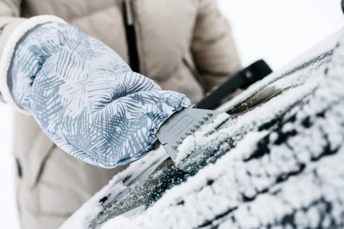 KUNGS ARCTIC-IS KINNASRAAPPA LAJITELMA