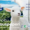 LAMBI TALOUSPYYHE KUVIOITU 4RL 4 KPL