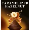 LINDT EXCELLENCE TUMMA SUKLAALEVY 100G HASSELPÄHKINÄ-KARAMELLI 100 G