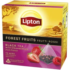 LIPTON FOREST FRUIT PYRAMIDI MUSTA TEE 20PS 360 G