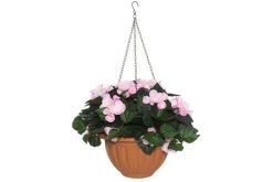4LIVING BEGONIA AMPPELI TEKOKASVI VAALEANPUNAINEN
