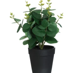 4LIVING EUKALYPTUS RUUKUSSA 26 CM