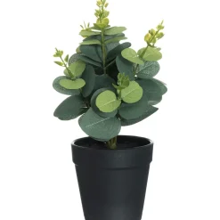 4LIVING EUKALYPTUS RUUKUSSA 26 CM