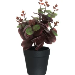 4LIVING EUKALYPTUS RUUKUSSA 26 CM