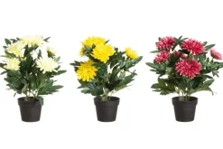 4LIVING KRYSANTEEMI RUUKUSSA 28 CM TEKOKASVI LAJITELMA