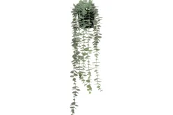 4LIVING MEHIKASVI RIIPPUVA RUUKUSSA 58 CM