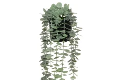 4LIVING MEHIKASVI RIIPPUVA RUUKUSSA 58 CM