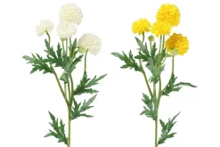 4LIVING PALLOKRYSANTEEMI OKSA 61 CM