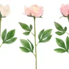 4LIVING PIONI 60 CM LAJITELMA