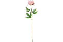 4LIVING PIONI 60 CM LAJITELMA