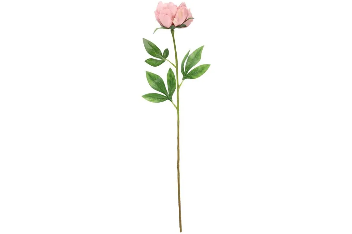 4LIVING PIONI 60 CM LAJITELMA