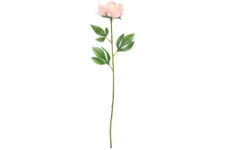 4LIVING PIONI 60 CM LAJITELMA