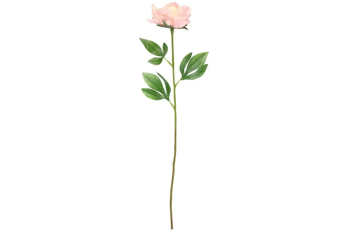 4LIVING PIONI 60 CM LAJITELMA
