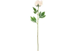 4LIVING PIONI 60 CM LAJITELMA