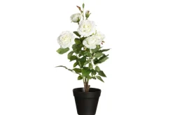 4LIVING RUUSU ISOKUKKAINEN RUUKUSSA VALKOINEN 49 CM