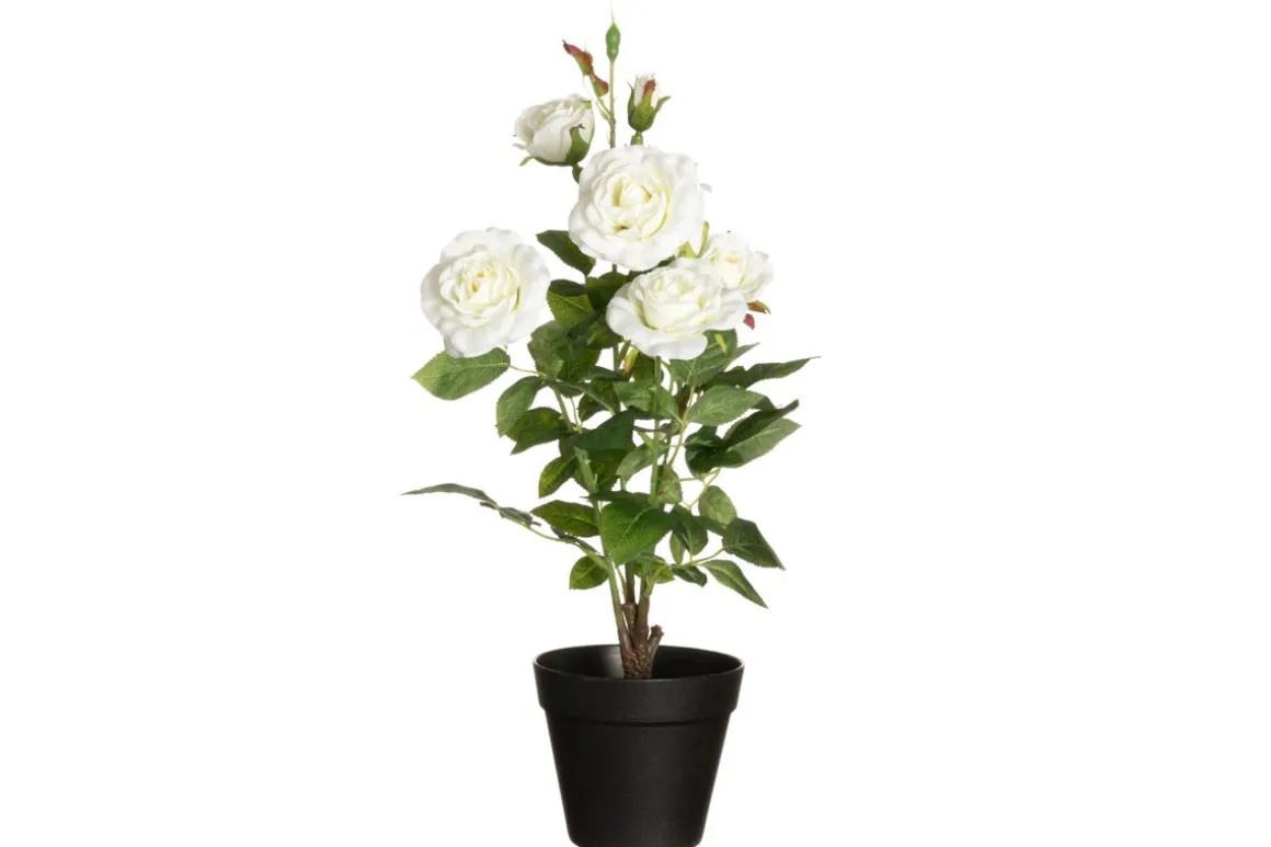 4LIVING RUUSU ISOKUKKAINEN RUUKUSSA VALKOINEN 49 CM
