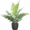 4LIVING SANIAINEN 66 CM
