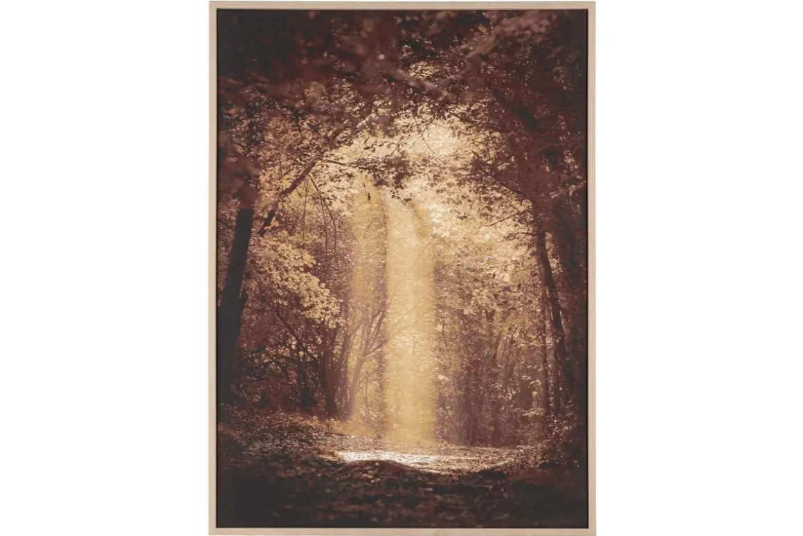 4LIVING TAULU VALO METSÄSSÄ 50X70 CM