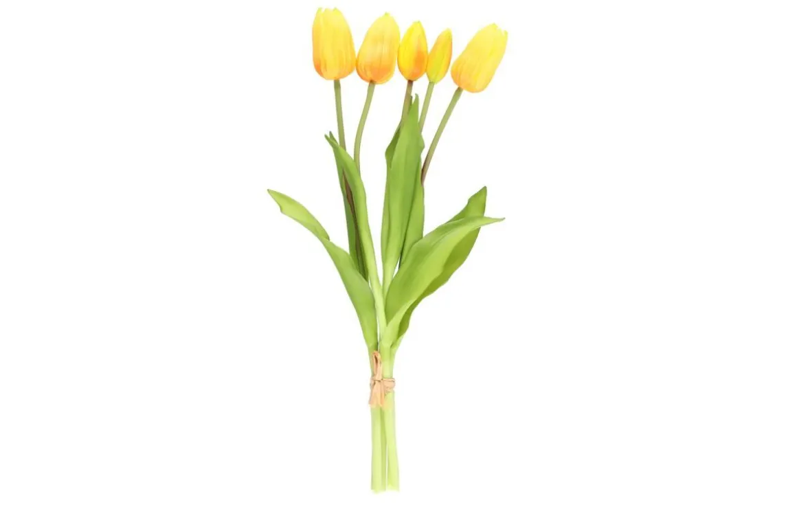 4LIVING TULPPAANI KIMPPU 40 CM LAJITELMA