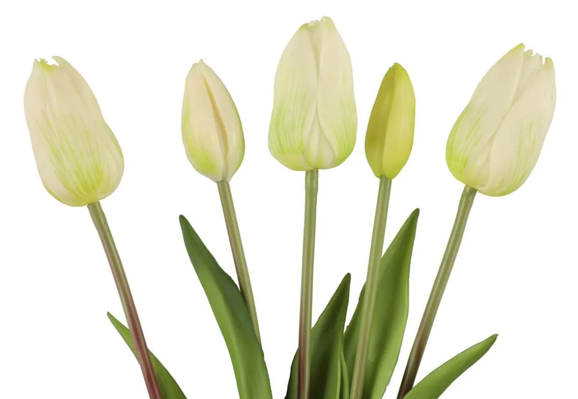 4LIVING TULPPAANI KIMPPU 40 CM LAJITELMA