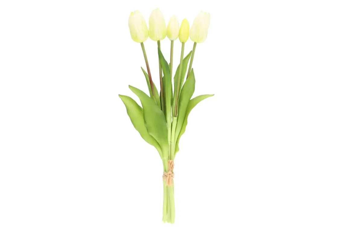 4LIVING TULPPAANI KIMPPU 40 CM LAJITELMA