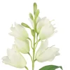 4LIVING UKONKELLO OKSA VALKOINEN 71 CM