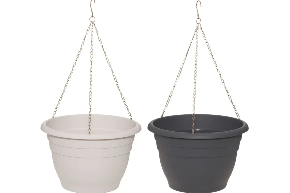 4LIVING AMPPELI BASIC 28 CM LAJITELMA