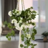 4LIVING AMPPELINARU 115 CM