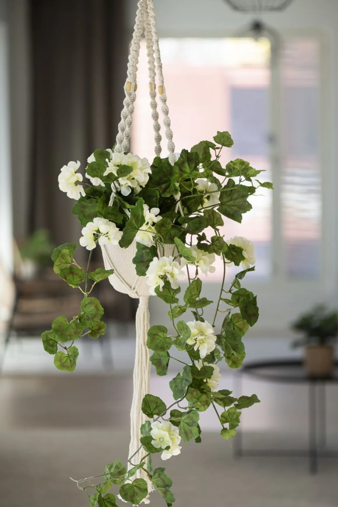4LIVING AMPPELINARU 115 CM