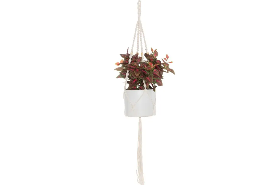 4LIVING AMPPELINARU 115 CM