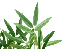 4LIVING BAMBU RUUKUSSA 100 CM