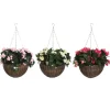 4LIVING BEGONIA AMPPELI 60 CM