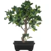 4LIVING BONSAI FIIKUS
