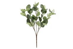 4LIVING EUKALYPTUS OKSA 42 CM