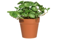 4LIVING HATTUPUTKI RUUKUSSA 16 CM