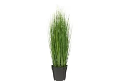 4LIVING HEINÄ RUUKUSSA 76 CM TEKOKASVI