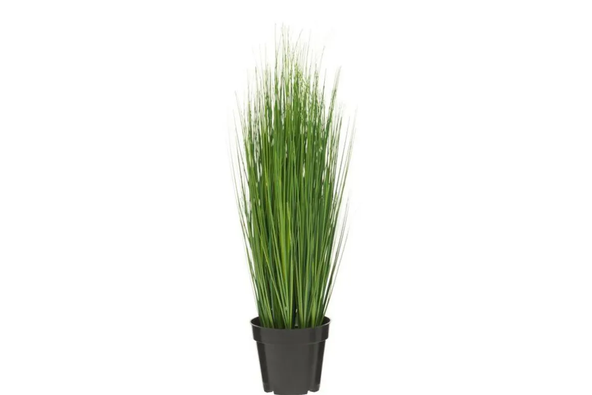 4LIVING HEINÄ RUUKUSSA 76 CM TEKOKASVI